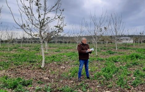 KADİRLİ’DE SERTİFİKALI FİDAN KULLANIM DESTEĞİ