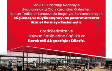 Canlı hayvan pazarı açıldı